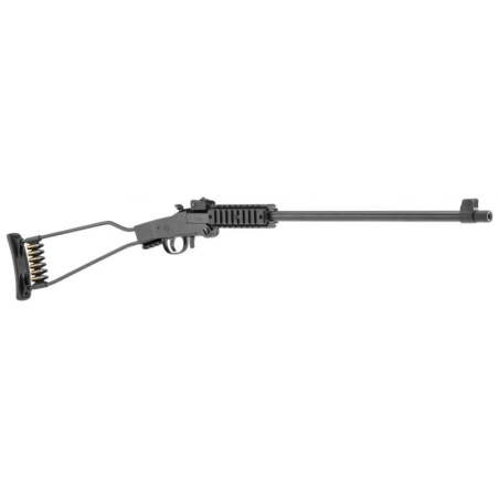 Carabine Chiappa Little Badger .22 lr