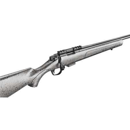 Carabine Bergara BMR Steel .22 Lr