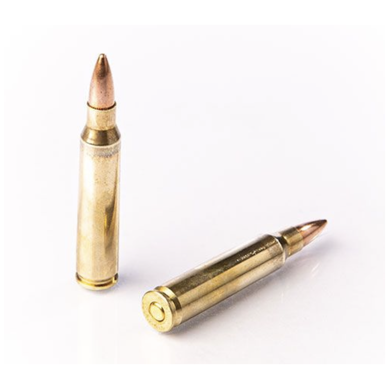 50 Munitions Fiocchi - .223 Rem  – 55 gr FMJ