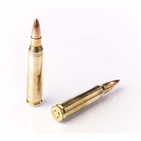 50 Munitions Fiocchi - .223 Rem  – 55 gr FMJ