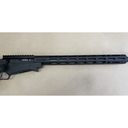 Carabine Ruger Precision Rimfire .17 HMR