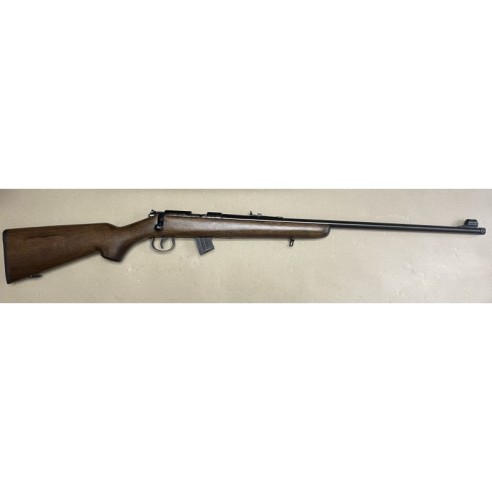 Pack Carabine Norinco JW15 .22 lr