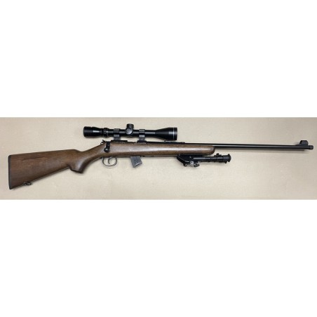 Pack Carabine Norinco JW15 .22 lr