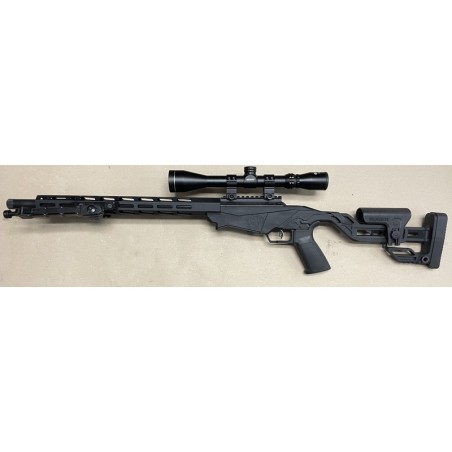 Pack Carabine Ruger Precision Rimfire .22 lr