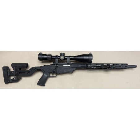Pack Carabine Ruger Precision Rimfire .22 lr