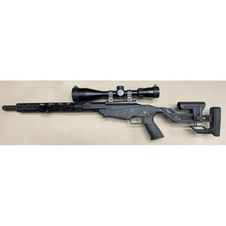 Pack Carabine Ruger Precision Rimfire .22 lr