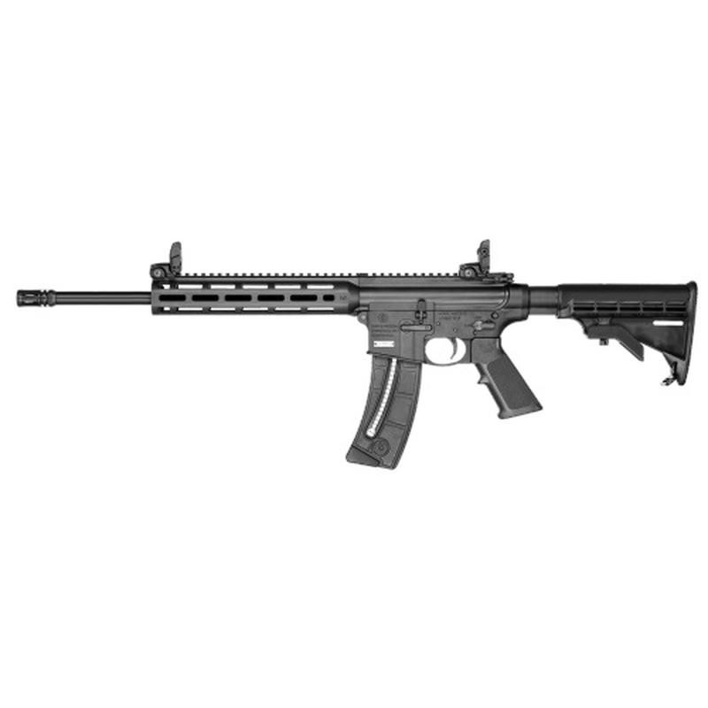 Smith & Wesson MP 15 - 22