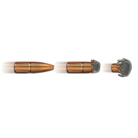20 Munitions Geco  .30-06 Spring. | Plus 170 gr