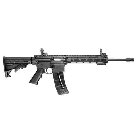 Smith & Wesson MP 15 - 22