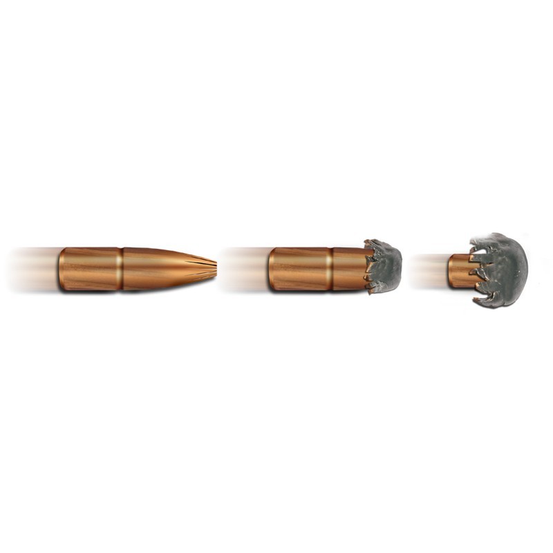 20 Munitions Geco  .300 Win Mag | Plus 170 gr 2