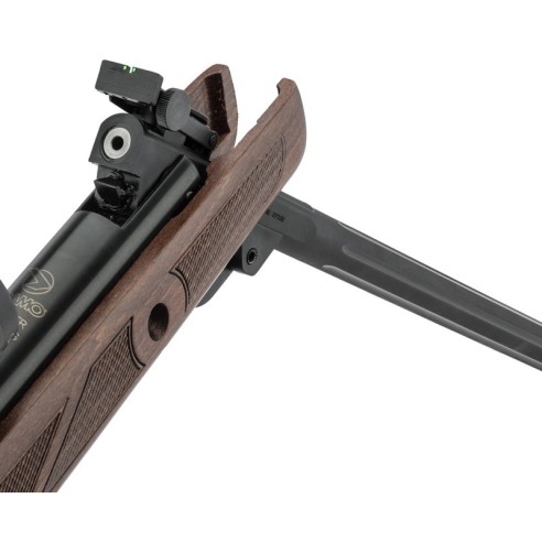 Pack Carabine Gamo Hunter 440 AS