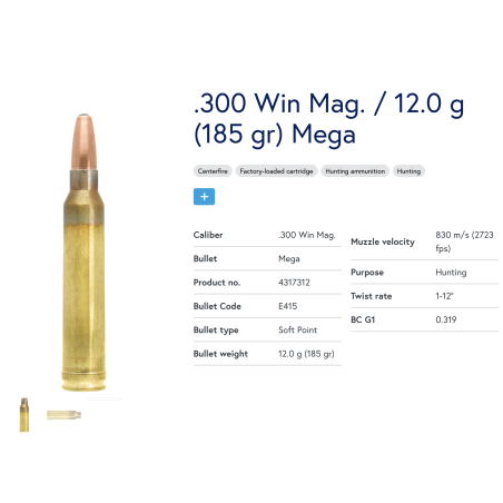 10 Munitions Lapua  300 Win Mag | Mega 185 gr