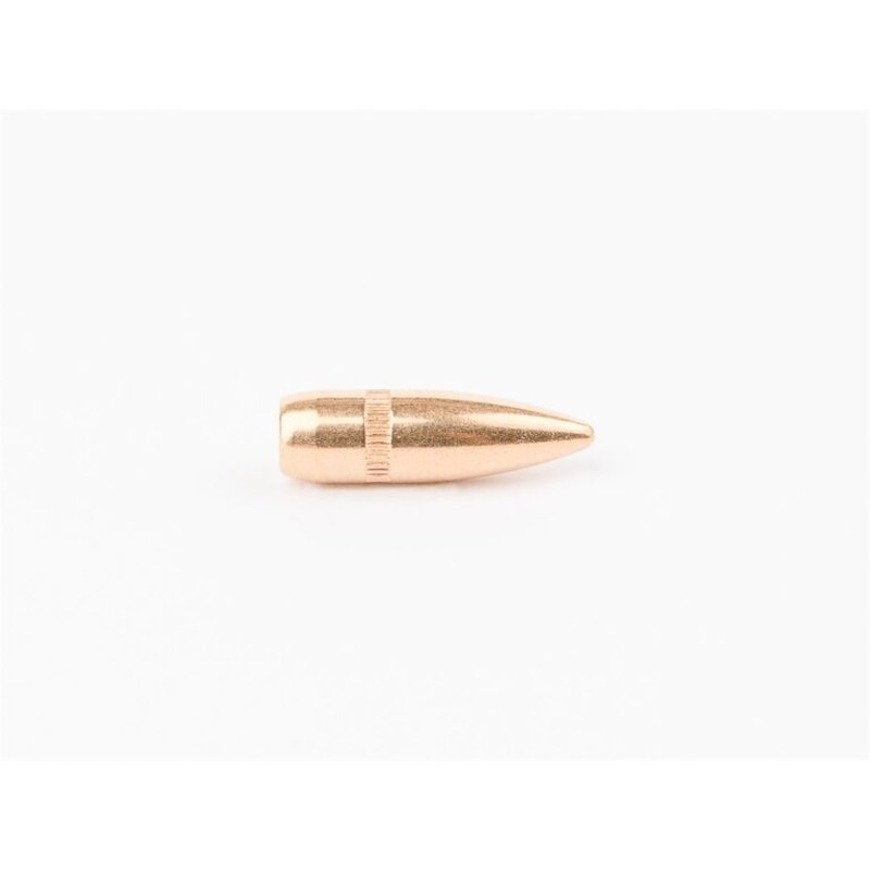 Ogives Cam Pro .223 (.224) 55 gr FMJ SBT / 500