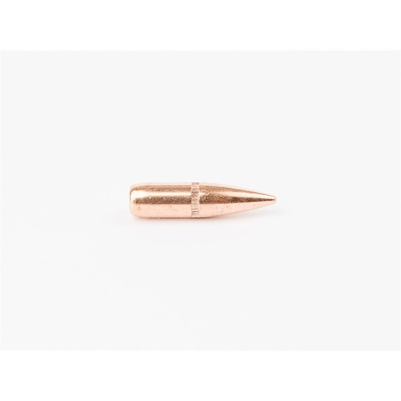 Ogives Cam Pro .223 (.224) 62 gr FMJ SBT / 500