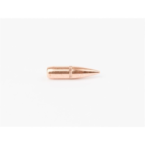 Ogives Cam Pro .223 (.224) 62 gr FMJ SBT / 500