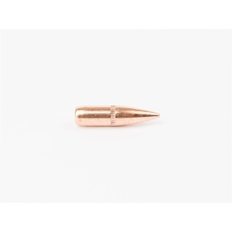 Ogives Cam Pro .223 (.224) 62 gr FMJ SBT / 500