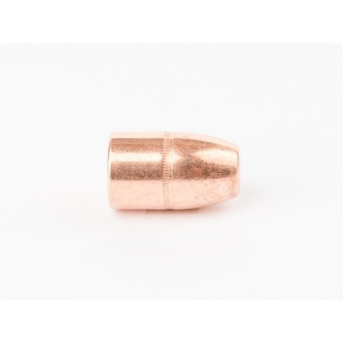 Ogives Cam Pro .45-70 (.458) 300 gr FCP TC / 250