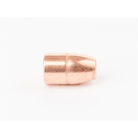 Ogives Cam Pro .45-70 (.458) 300 gr FCP TC / 250