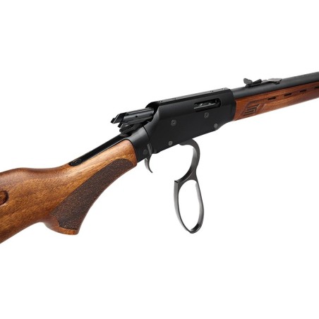 Pack Carabine Savage Revel DLX Fileté - .22 lr