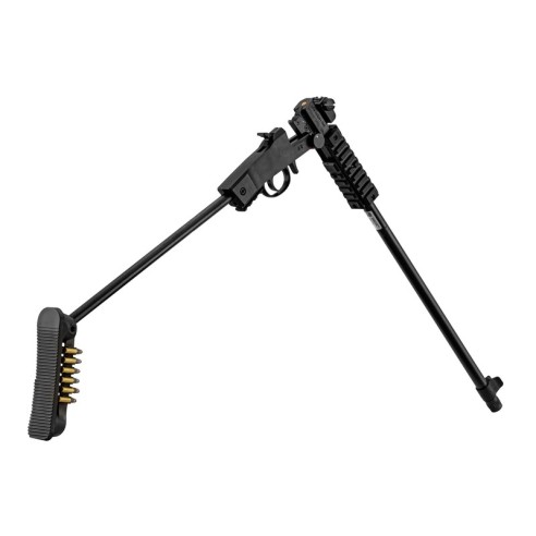 Chiappa Little Badger TakeDown Xtreme .22 lr