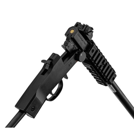 Chiappa Little Badger TakeDown Xtreme .22 lr