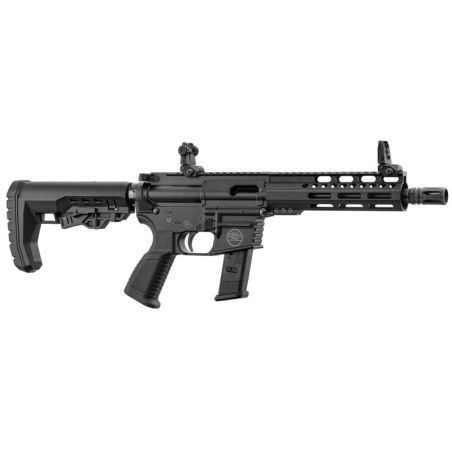 AR9 Bavarian Tactical BTS9